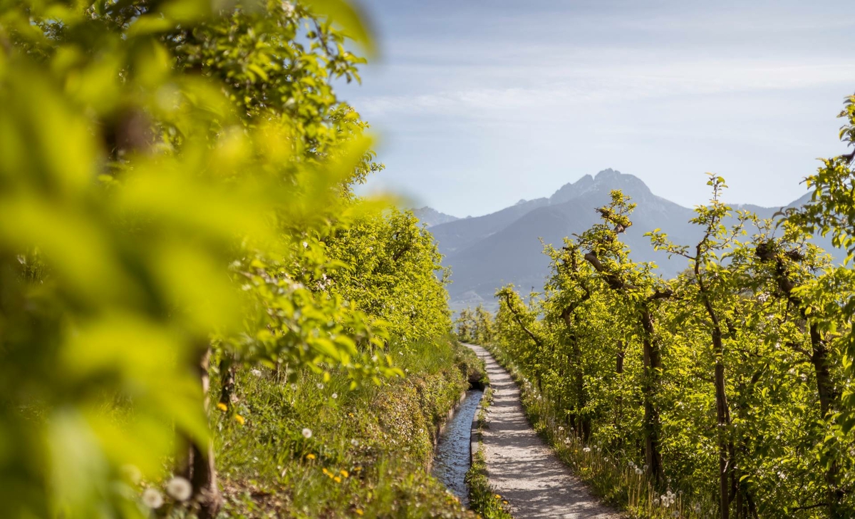 Aktivurlaub Meranerland - Sporthotels Meran, Obermais