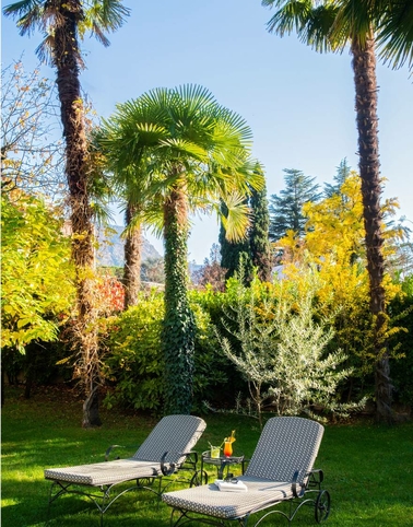 Foto e video della vacanza a Merano, hotel con giardino