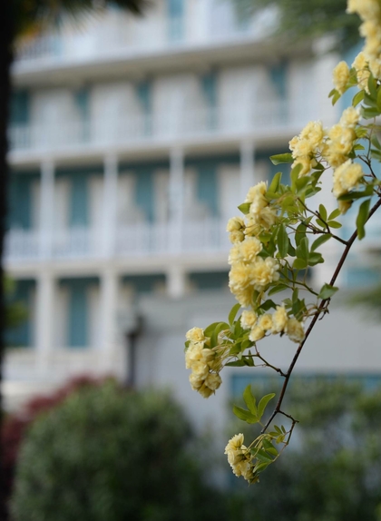 Hotel Meran mit Garten - 4 Sterne für Ihre Erholung