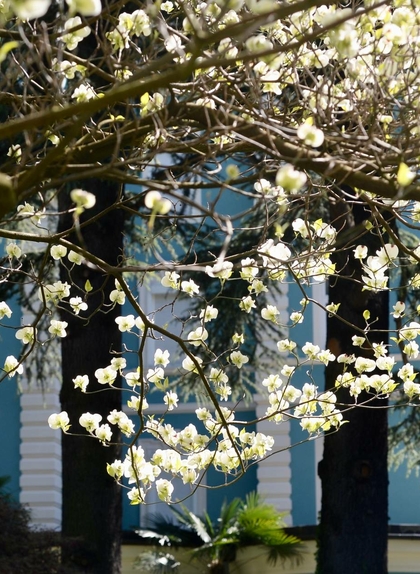 Hotel Meran mit Garten - 4 Sterne für Ihre Erholung